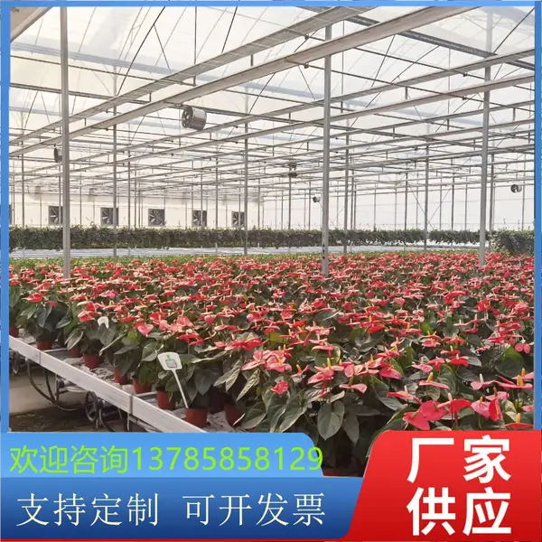 智慧农业蔬菜种植苗床 水稻培育潮汐吸塑托盘 标准尺寸