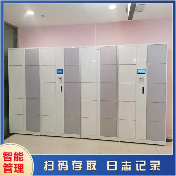 智能更衣柜物管柜人脸识别衣柜 安全管理多种身份识别验证