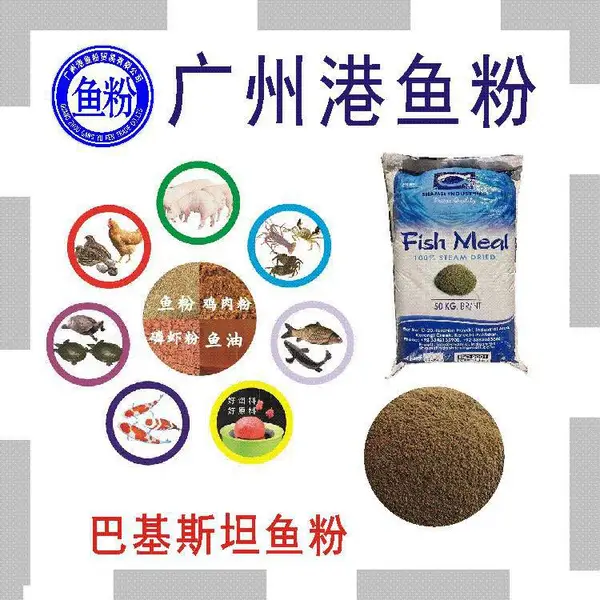 巴基斯坦鱼粉 猪鸡鸭禽料配方 加工蛋白原料 添加剂