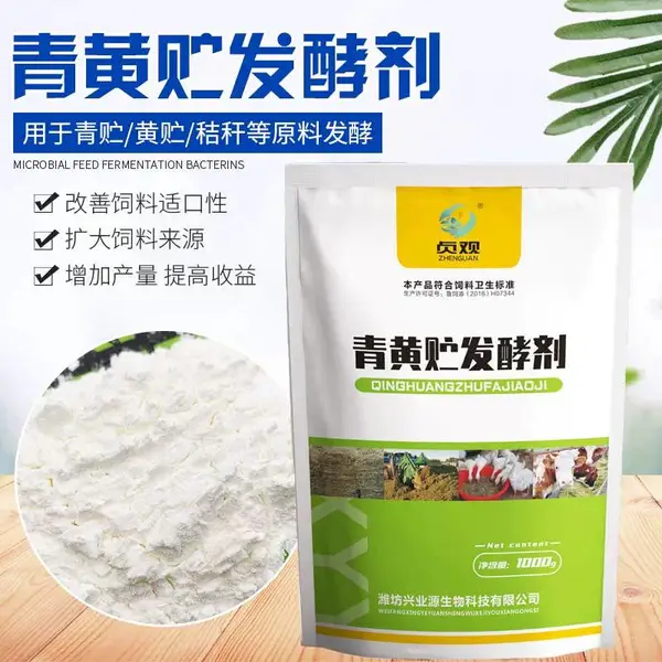 青贮黄贮秸秆纤维类植物原料发酵青黄贮发酵剂菌种含量高