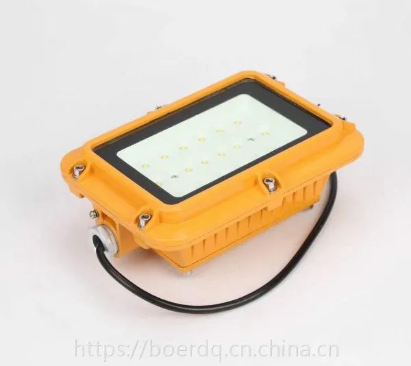 LED系列100WLED防爆节能灯规格款型号