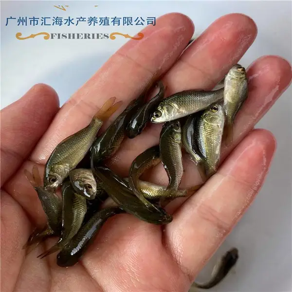 ����������س��ڹ�Ӧ�̻������� �ɻ������� ������ �������� �ɰ������� ������ �ɻ�***