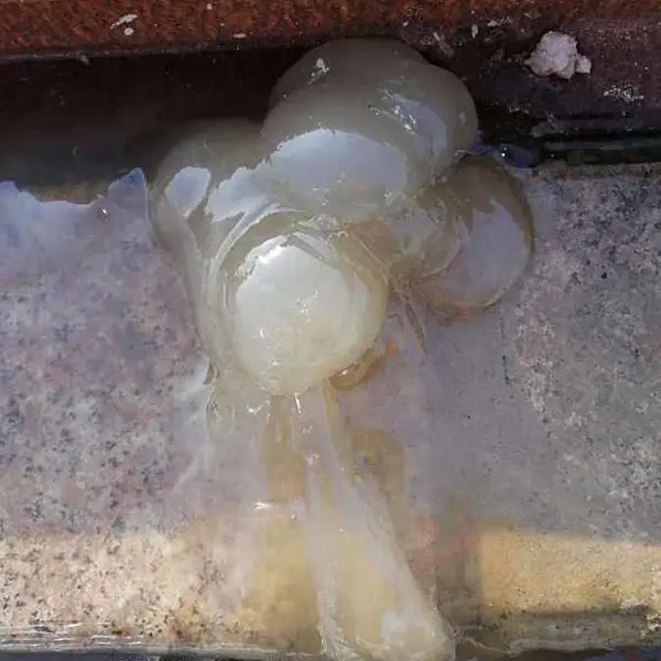 ��ѹע����©,��ѧ�ཬ��©ʩ������,�߷��ӻ�ѧ�ཬ����