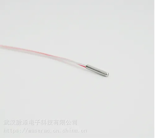 超小型PT100温度传感器