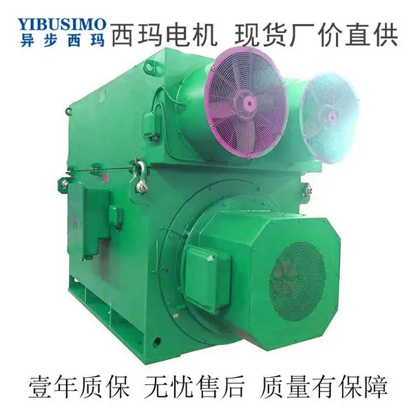 六安电机厂YR710-6/YR7101-6-2000KW-6KV(可配NSK轴承)(含温度传感器)