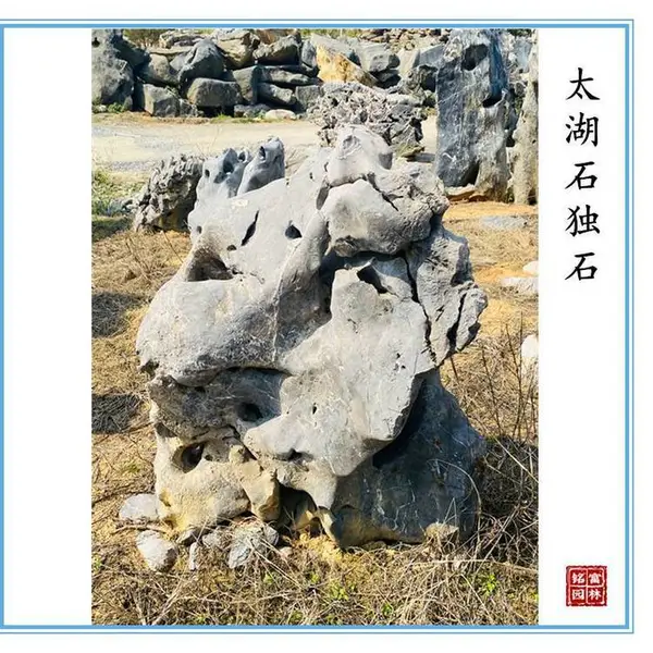 江苏太湖石独石出售-景观园林点缀石材独石-窟窿石独石图片