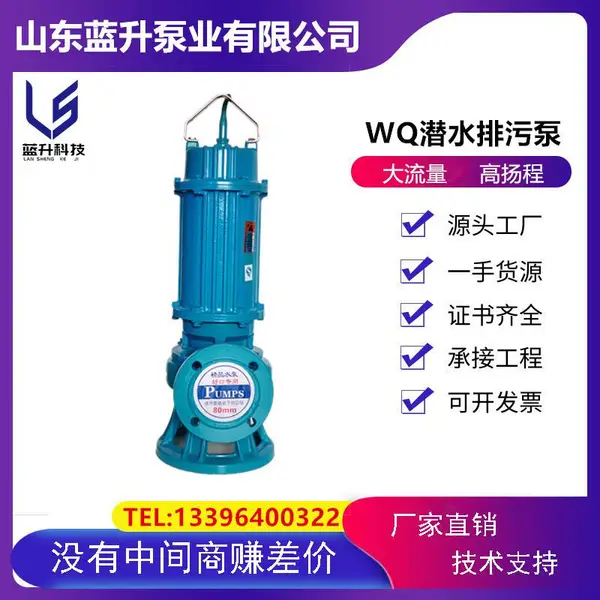 潜污泵品牌哪家好?山东蓝升泵业