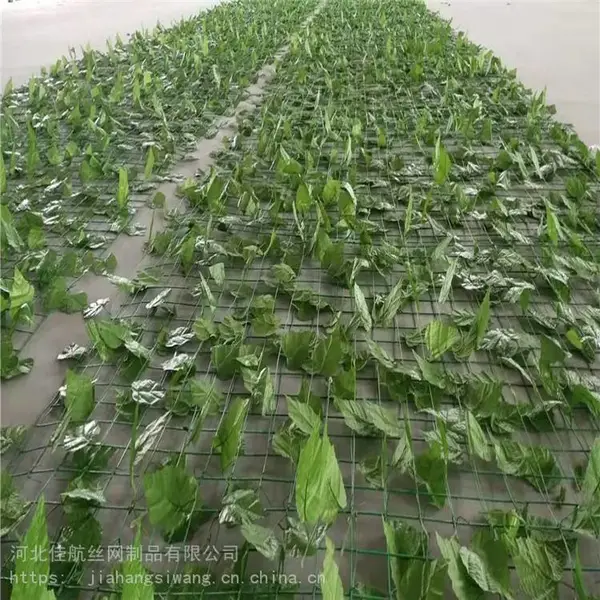 淄博带假叶子铺山网*铺山护山绿叶网*荒山覆盖绿化美化树叶网d