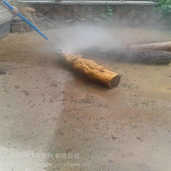 富森移动清洗机,移动式高压清洗机小广告清洗机