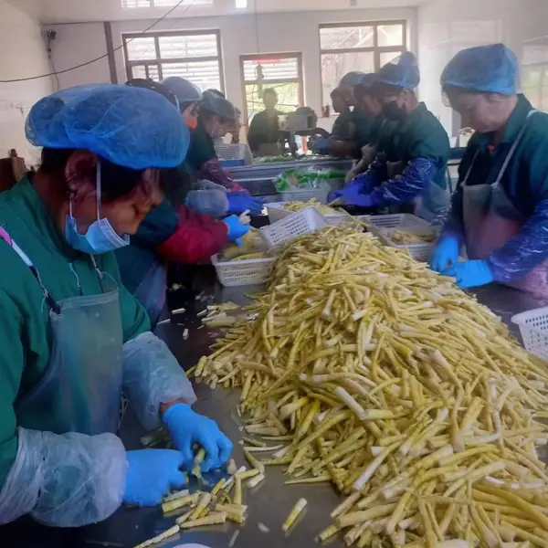 专业解决酱腌菜防腐护色延长质保期提供技术全程协助