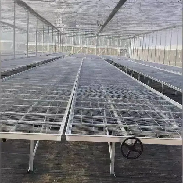 移动苗床 潮汐苗床 固定苗床 咨询即刻可报价