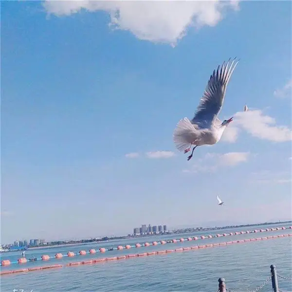 抽沙管浮体 8寸管道浮体_挖沙船配套管塑料浮筒