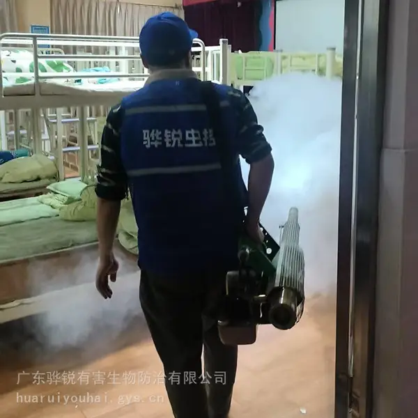 海南杀虫灭鼠 海南酒店消杀服务 24小时预约 快速响应上门
