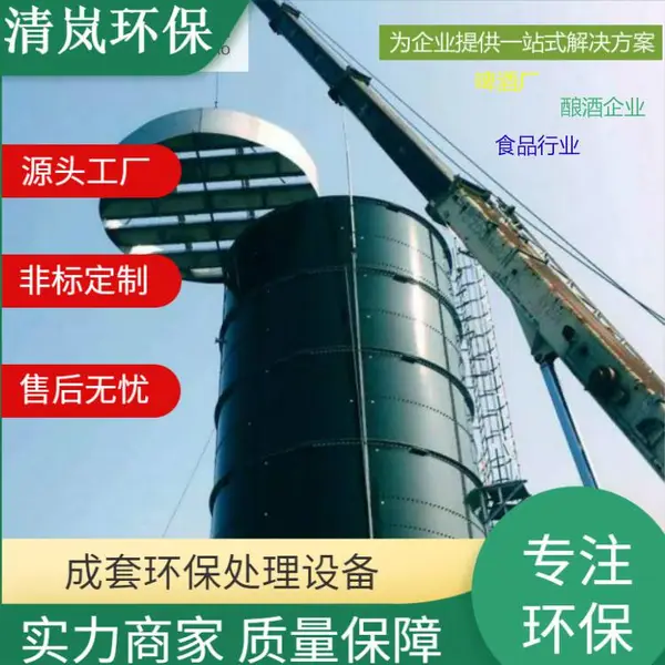 啤酒酿酒厂废水废气处理 厌氧罐成套设备环保定制加工 EGSB反应器