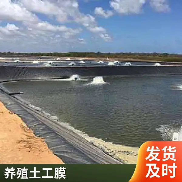 1.5mm双糙面HDPE土工膜 江帆 垃圾填埋场封场覆盖黑膜