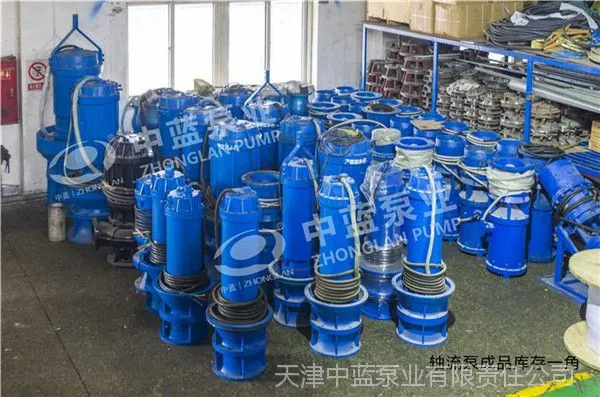 河道提水用轴流泵型号