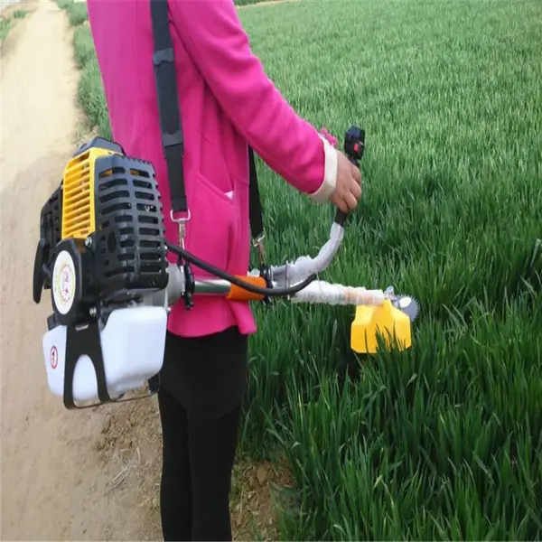 ����ʽ���͸�ݻ� ����ո�� ũ�����ո��