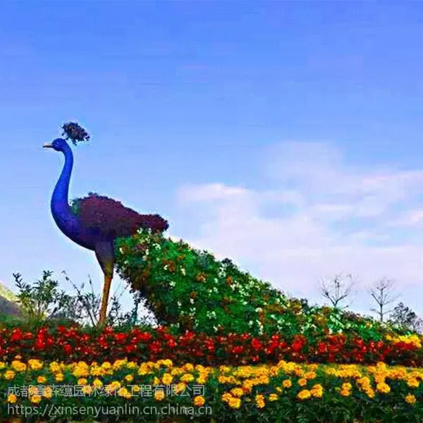 �Ĵ��ɶ���ֲ����ۣ�����ֱ����ʮ����Ф���⣬��ֲ���ܲ�����