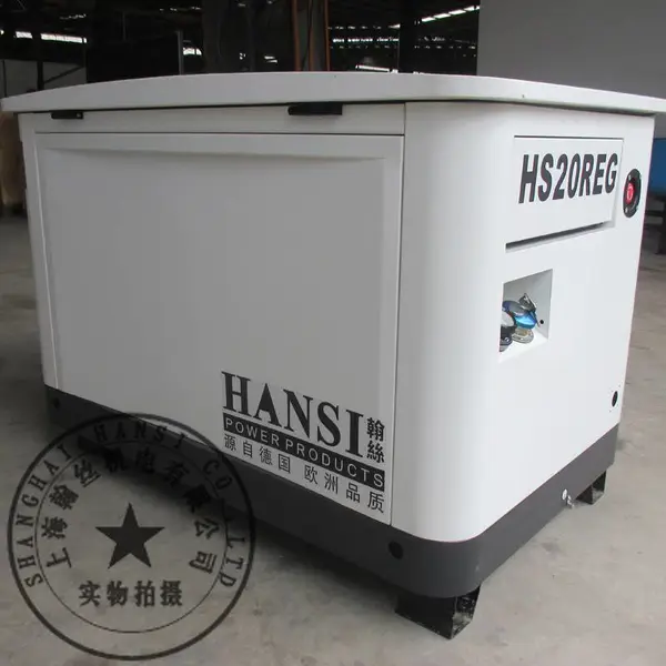20KW多燃料发电机/便携式多燃料发电机HS20REG-ATS