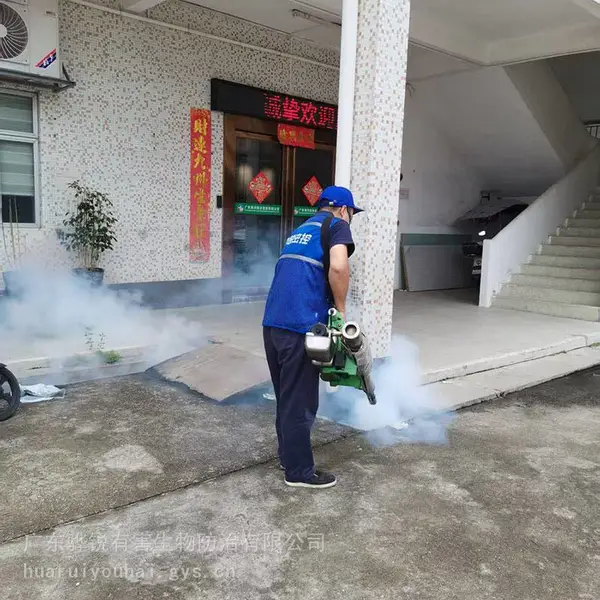 钦州灭蚊子 钦州四害消杀公司 高效除害 按需服务