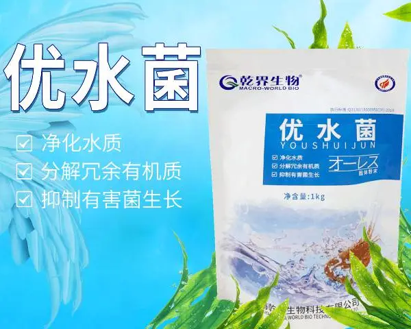 广东乾界生物解决水产连作障碍水产饲料添加剂价格 值得信赖 上海乾界生物科技供应