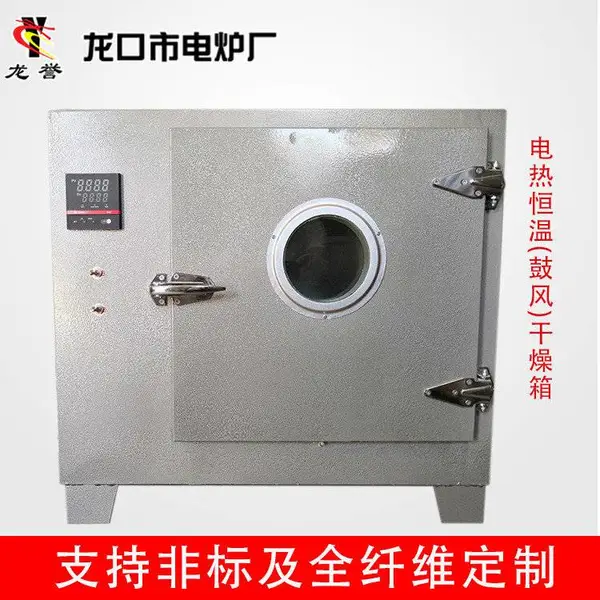 电热恒温鼓风干燥箱-干燥箱-龙口市电炉厂按需定制(查看)