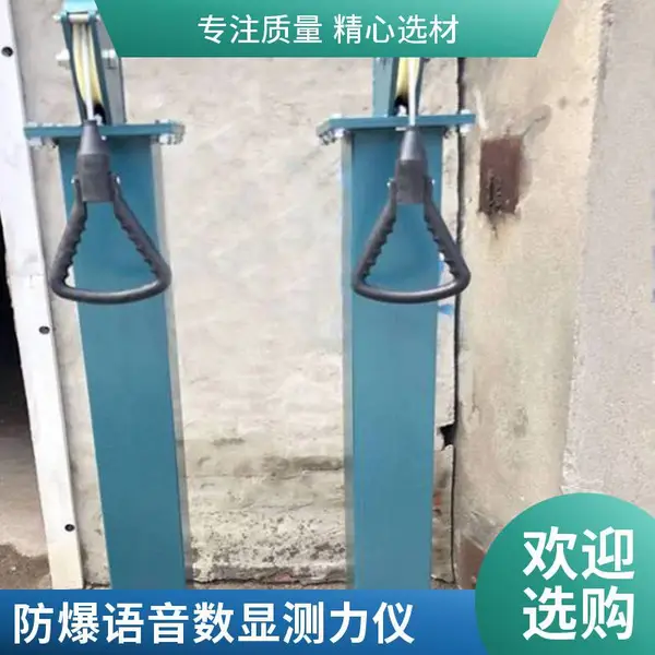 国标语音检力器 矿山救护体能检测仪器 性能稳定 日常考核必备器材