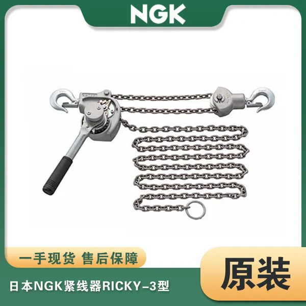 Ricky-3�ձ�NGK��ʽ�๦�����Ͻ�����ʽ����������������