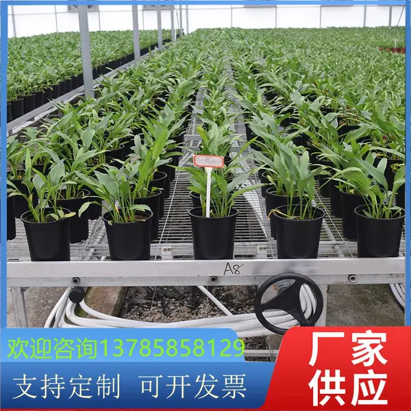ֲ�������ֲ�� �������ƶ�30���� �Զ��紲�� �ṩ����֧��