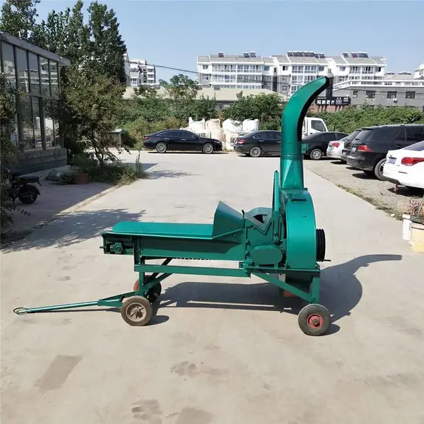 ���ʵ��ݽո�ա�ݻ� �Զ�����ա����˿����� ��������������