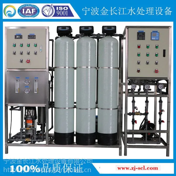 金长江1000L/H单级EDI去离子除盐系统外加一级全自动RO反渗透高纯水设备