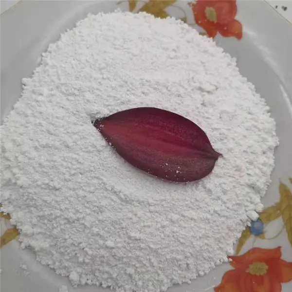 ���ҷ��������� ��˳Ϳ����������������
