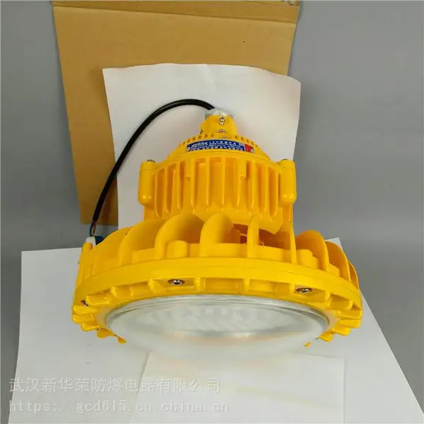华荣 机房LED防爆灯40w 地下管廊LED防爆灯80w 规格齐全