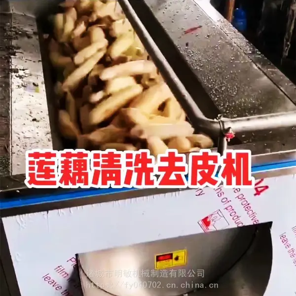 莲藕去皮机 铁棍山药去皮机 明敏牌芋头脱皮清洗设备