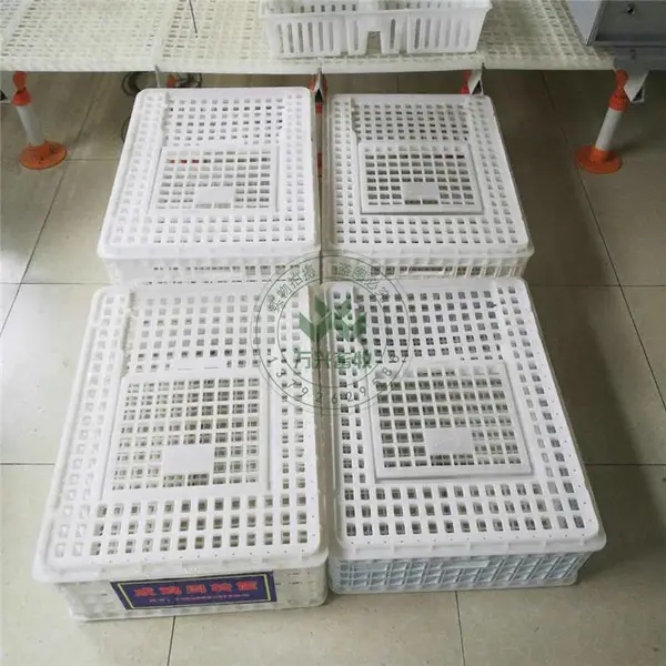 全新塑料鸡笼 PP塑料周转箱 耐磨塑料鸡笼 多规格鸡笼 大鸡筐 图片 价格