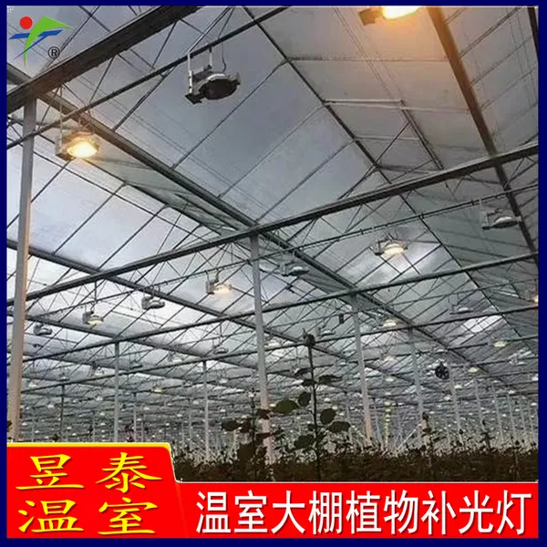 昱泰 温室大棚补光设备 高压钠灯植物补光灯 YTWSBG0005