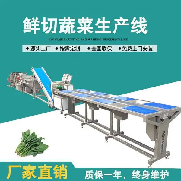 叶菜加工流水线,中央厨房一站式蔬菜鲜切设备 净菜加工生产线