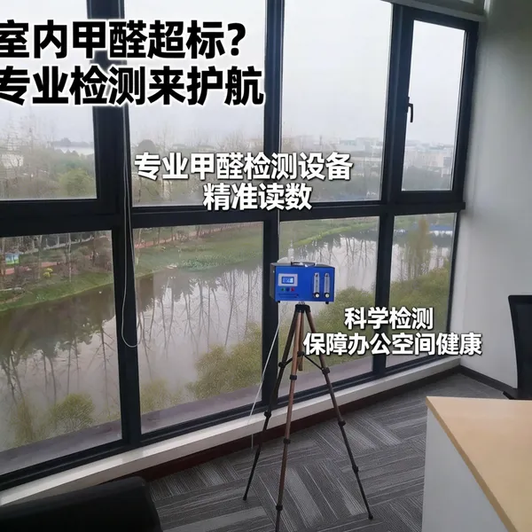 巫溪除甲醛公司 室内空气净化 专业除甲醛除异味