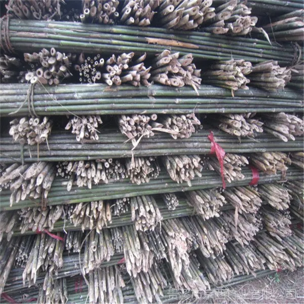 供应专用于支撑苹果树苗用的4米-5米小竹竿 京西竹业出品