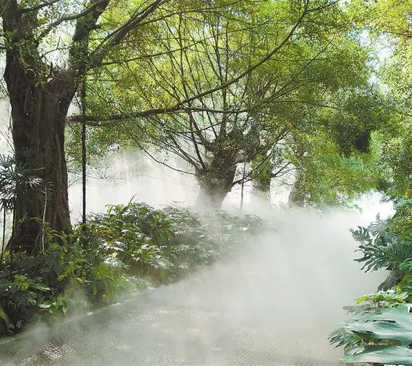 湖北黄冈园林植物造景设备品质保障一手货源