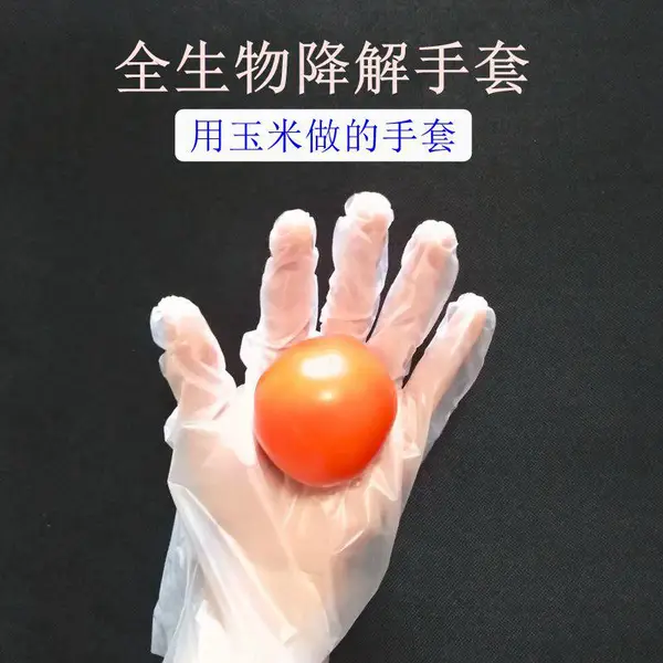 防护加厚pla可降解一次性手套餐饮手膜食品吃龙虾透明塑料手套