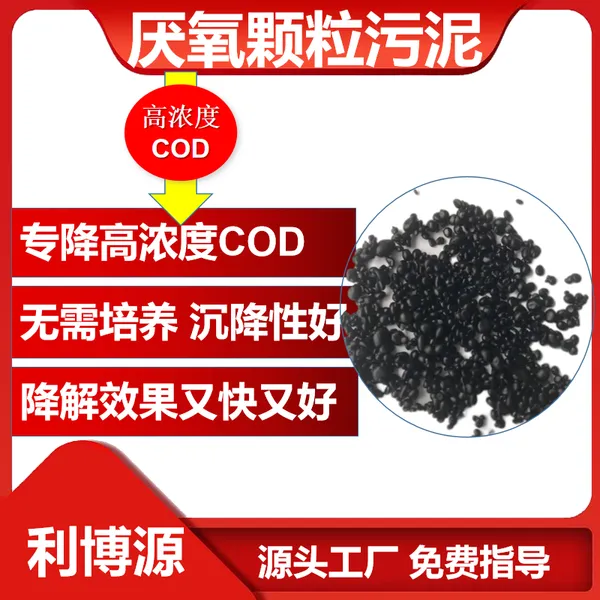 利博源厌氧颗粒污泥厌氧塔专用***去除COD污水处理微生物
