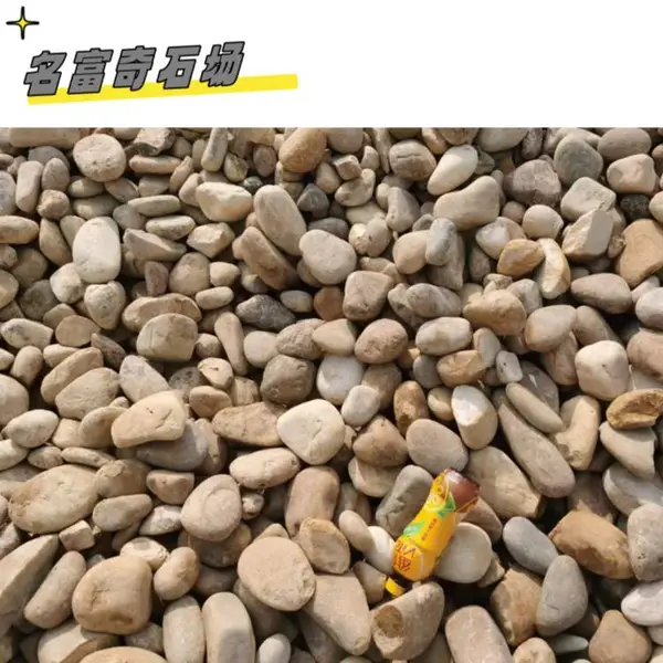广东从化鹅卵石造景石 从化小区鹅卵石铺路石 从化鱼池装饰鹅卵石
