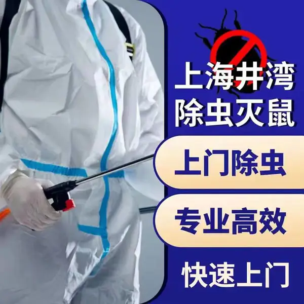 上海 闵行区捕鼠公司 杀虫灭鼠除蟑螂灭白蚁消杀 宿舍臭虫消杀