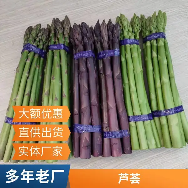 北京门头沟鑫航育 6 号芦笋种子 无性系 F1 代 笋尖无空心畸形山地周边适配种