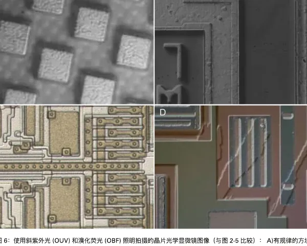 合肥有哪些金相显微镜价格 欢迎咨询 茂鑫供