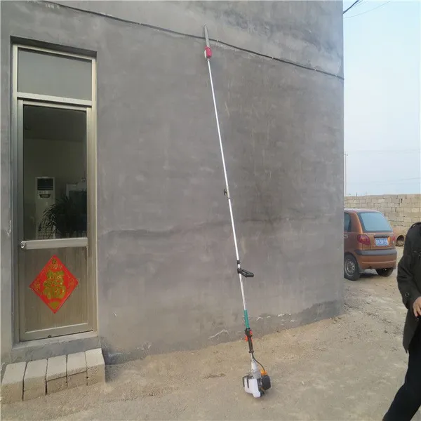 �������ֳָ�֦�� �߿���֦�޼��� ���ͷ�ľ�⳧��