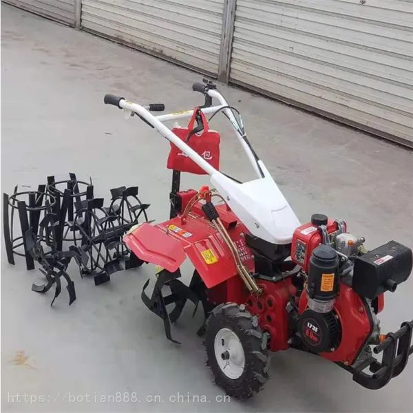 ��԰���������� ����186�Ϳ����� ���쿪��������