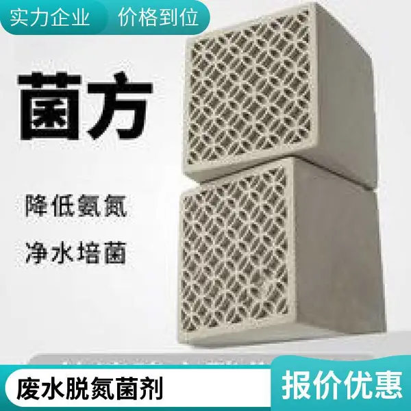 生物菌方 好氧反硝化菌方 脱氮菌块 生物膜载体 废水脱氮