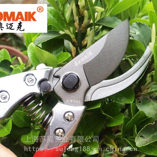 ������108�ּ� ԰��԰���޼� �޼�����֦ ժ�� sk5 ��֦